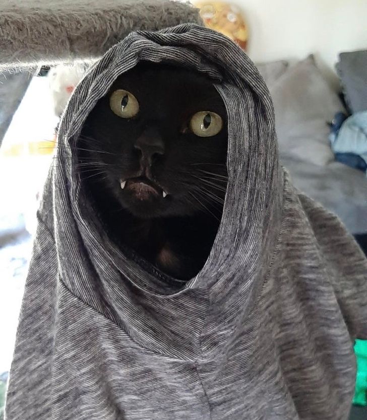 3f0d145ac08ba1c4a24da29487