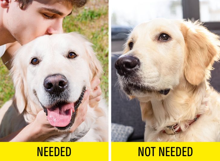 3f0d1857e594126271adc6470a