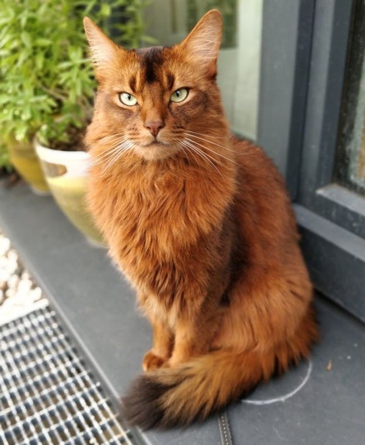 3f1281570ab951be76775d90be