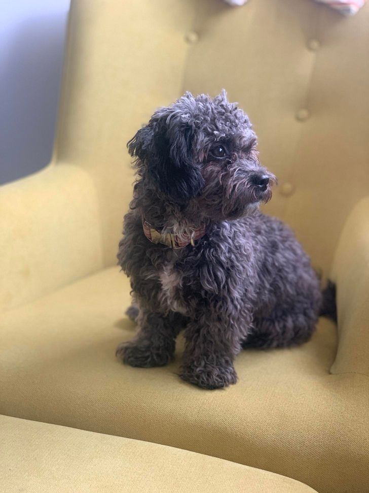 3f184e5690bc9385b1e4e568dd