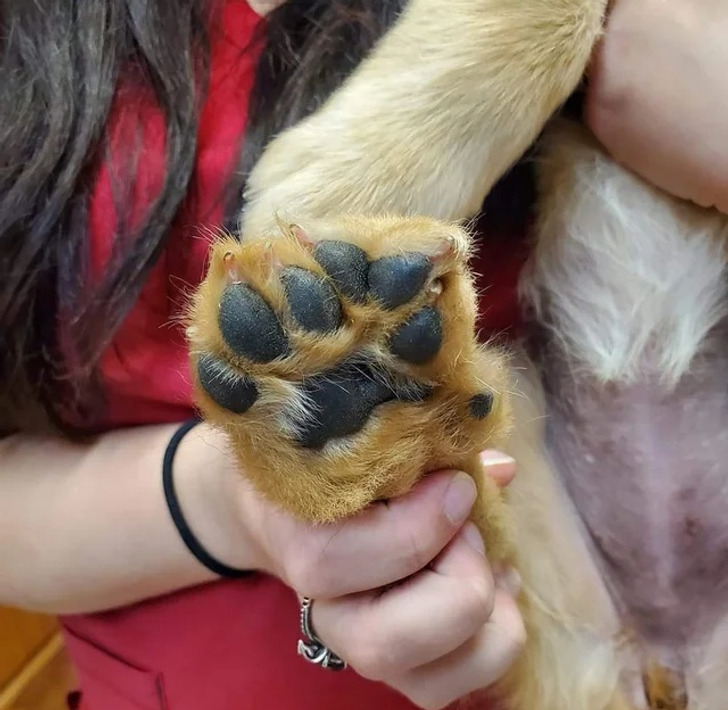 3f190c55869067c641688550e8