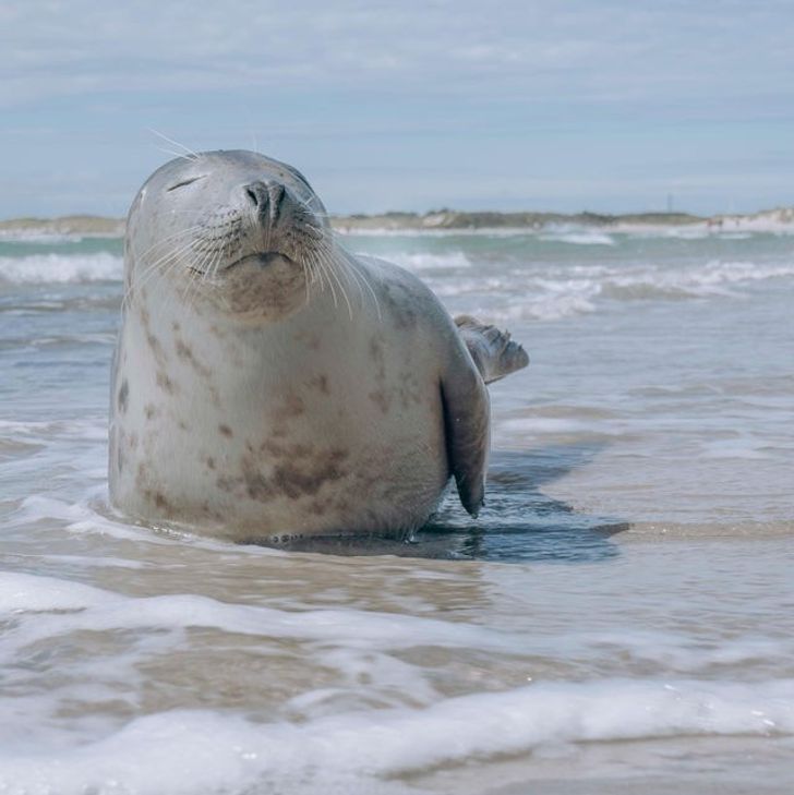 3f1d645b9aa663df2a4c14919c