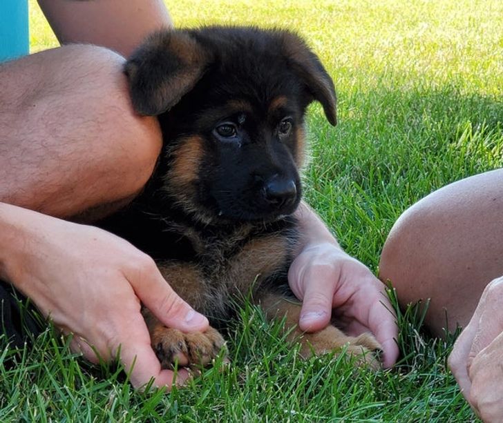 3f1f645e29b204aba32d6e2bdc