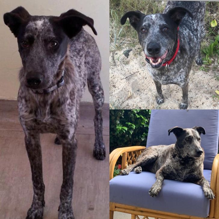 3f21155574be56044fde8edfde