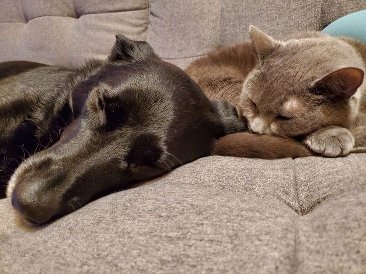 3f2bff50f58ac3a07633d7dc1c