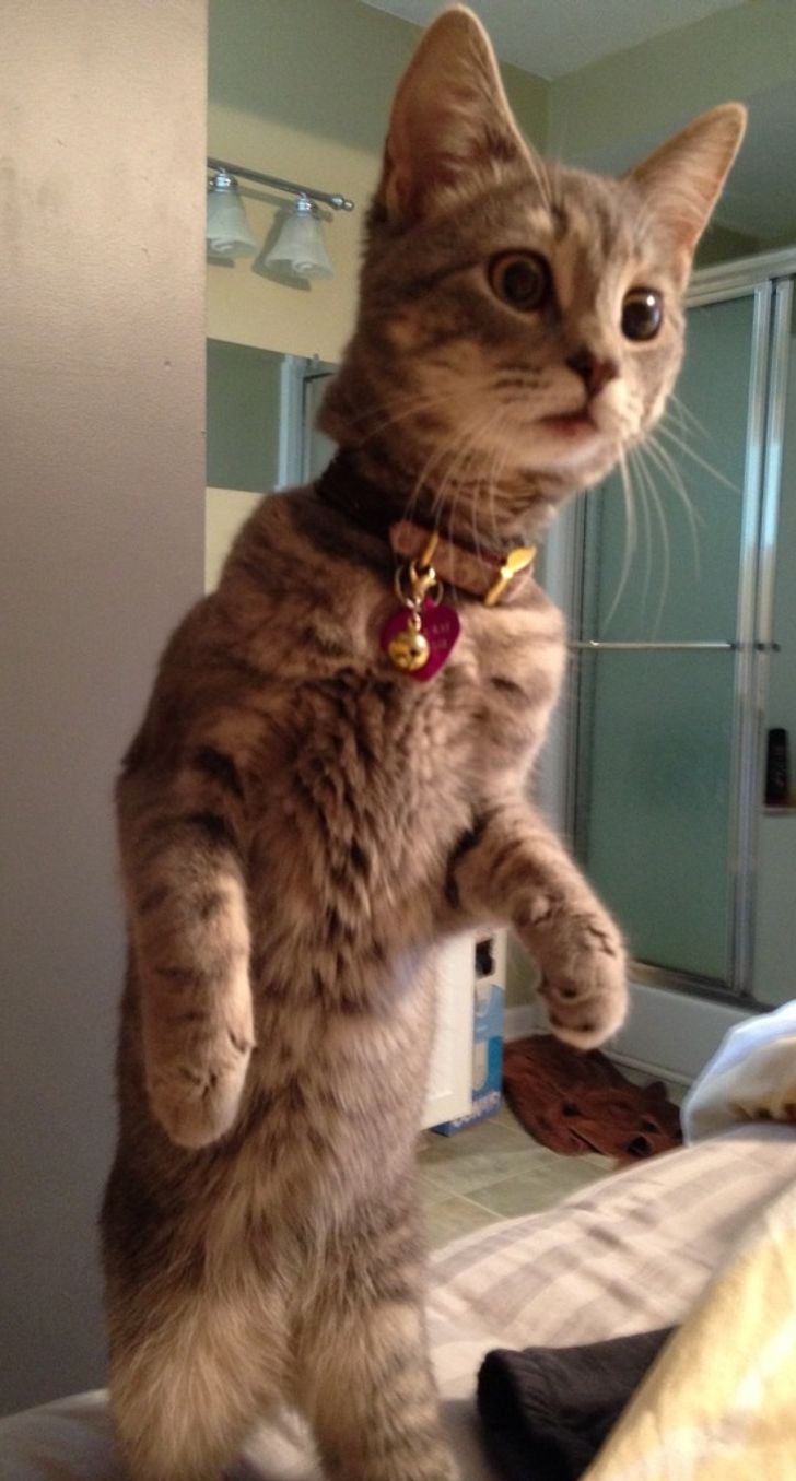 3f2ddb5026bfa405cb4c7a547f