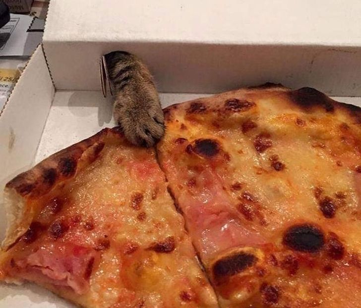 3f2e0a5303bb4c04ab09e0248e