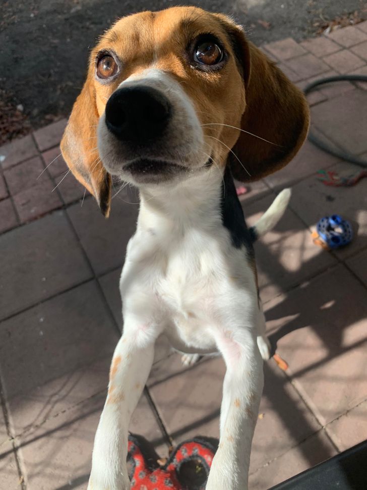 3f3aaa52a2a94adccf4f3822a6