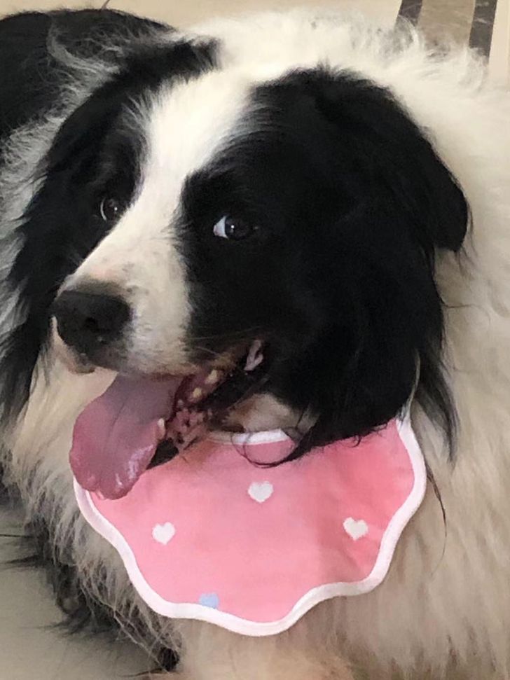 3f3aac5ed78f65edf08fcb18a2