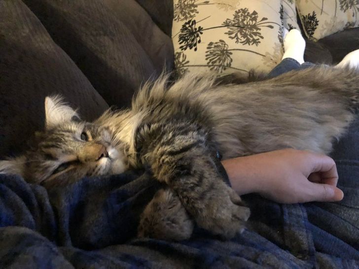 3f3bc052038518d5b3433f3be0