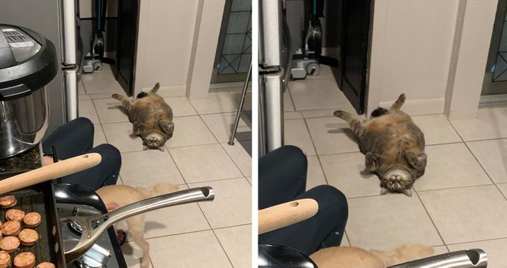 3f3d285be497a307732face06d