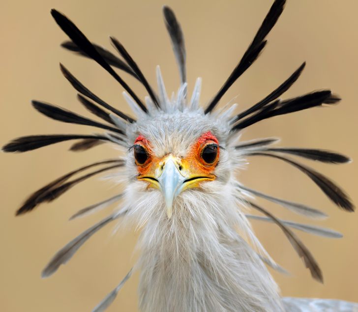 3f3f2554bb99b27e029a71d2ec