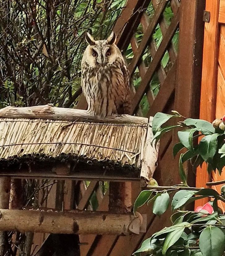 3f547b516e9ad3e3f3ae352a3a