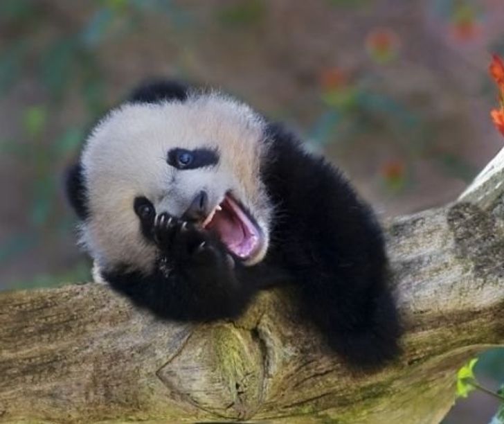 3f5f375d24b96a0c2cce0a3926