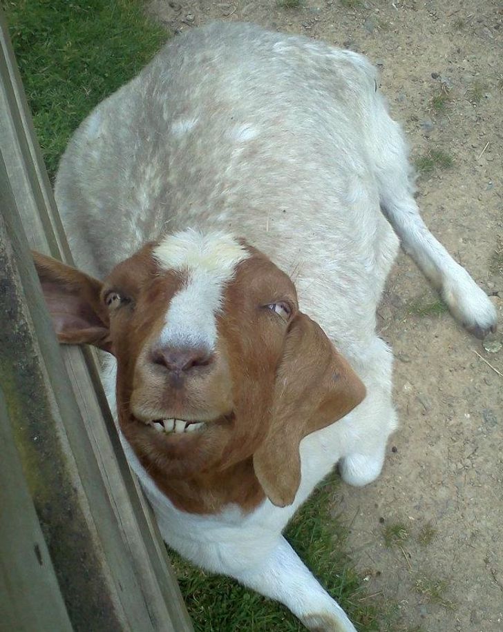 3f72bd5b36a3aaea522d09dc69