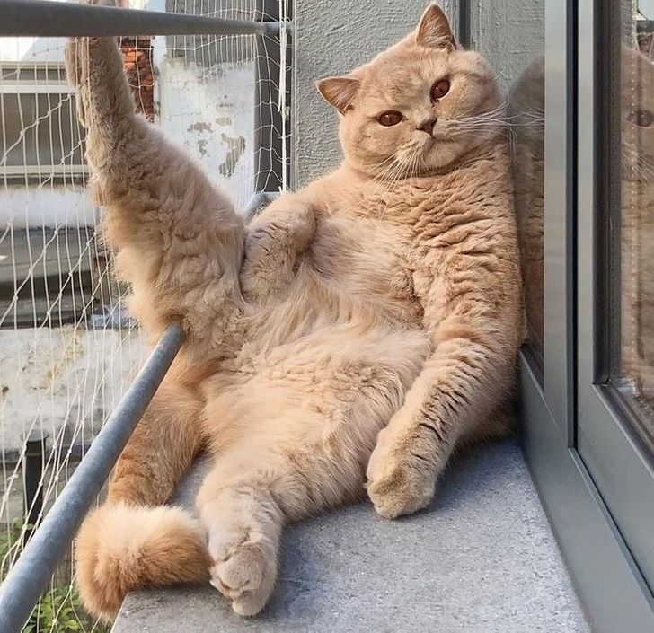 3f76f15424a0b95d8da0b89103