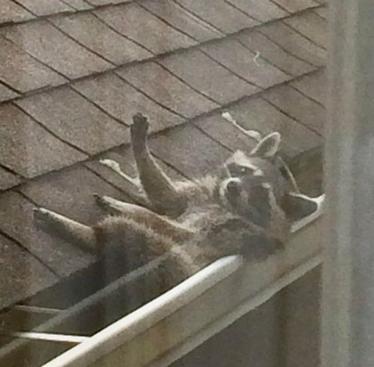 3f7be155f28911dc5a0b831eec