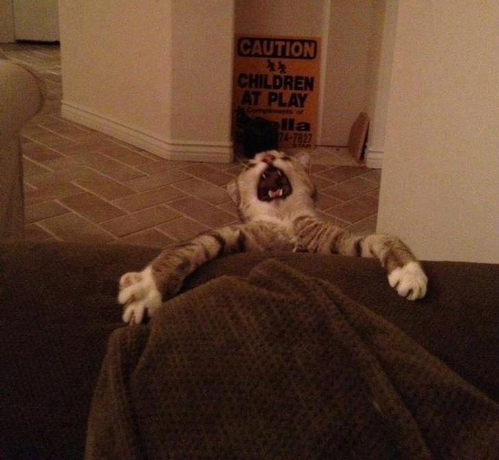 3f815f59a78bff53ff22c11d5b