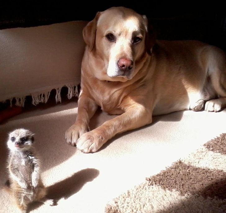 3f81fa5aedbed35c194956152d