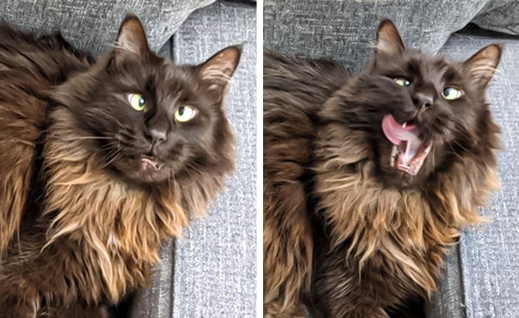 3f82f35257aee3d2287a5cccca