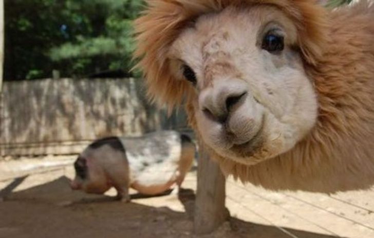 3f87505a408c36e20e56b54afe