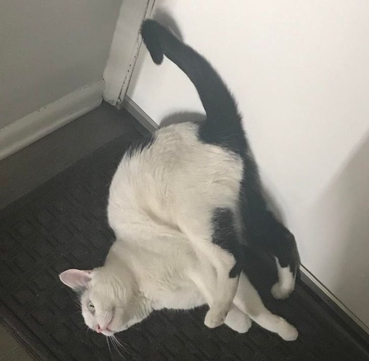 3f8acd520e800cac3b3c29cf5c 3f8acd520e800cac3b3c29cf5c