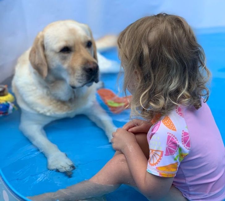 3fa06e512babc9820df801005d