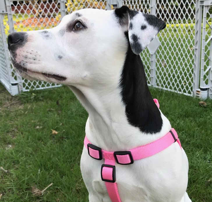 3fa40b5f8c98962a832ba85646