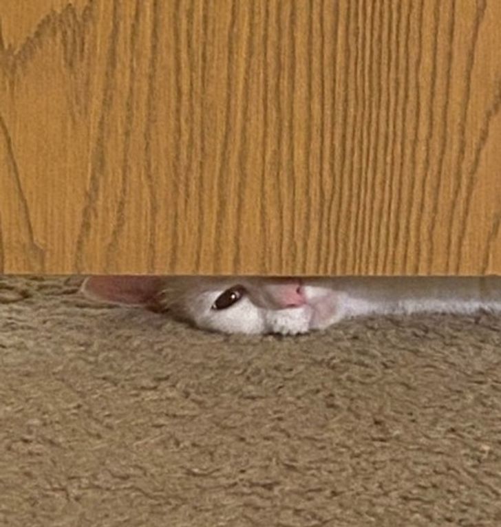 3fa7315f098fc121dcc5865a04