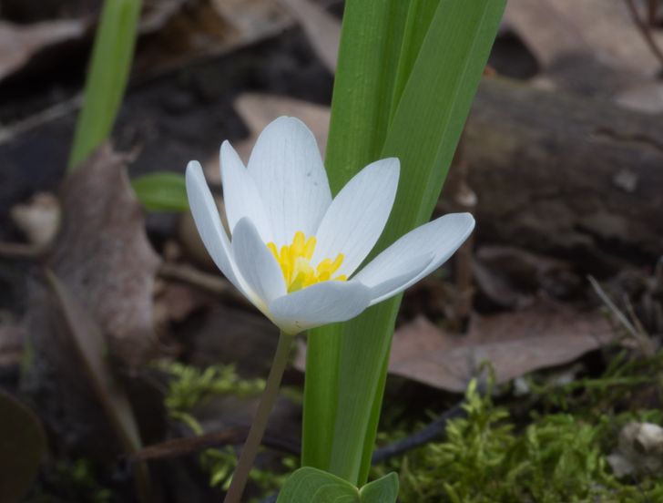 3fac5c5a6e8c6fbb08d264e338 3fac5c5a6e8c6fbb08d264e338