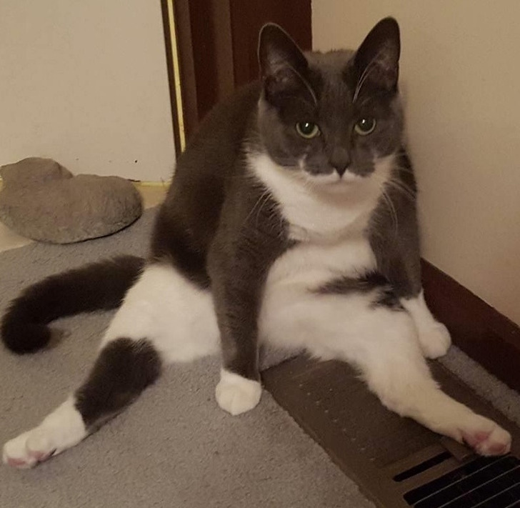 3fb016519dbccb13b598b07c25