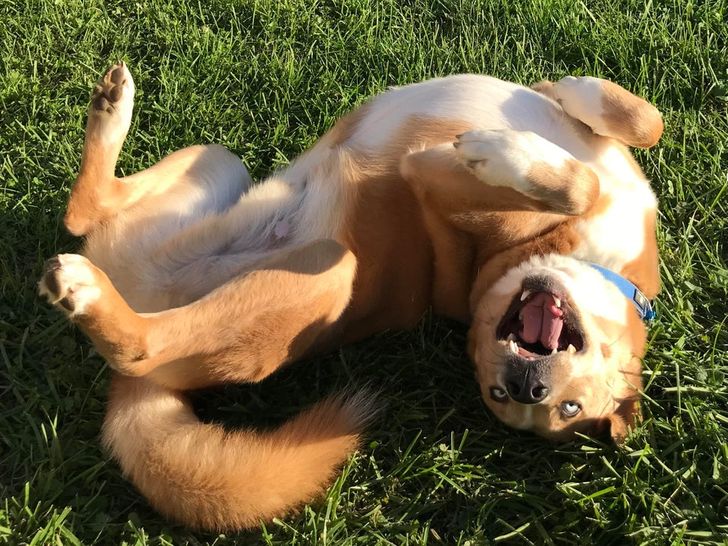 3fb9605bf7bfaed440cc15f61c