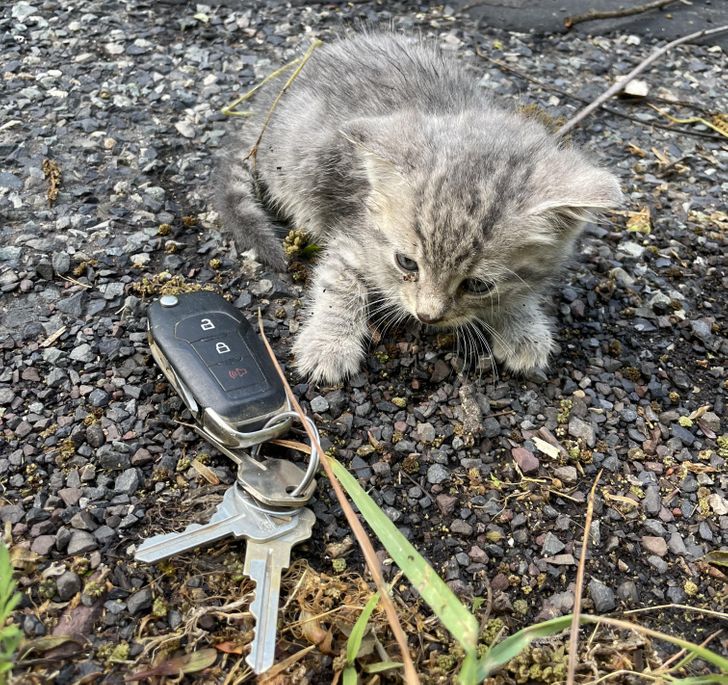 3fbaf5545bb48de90b0db04cce