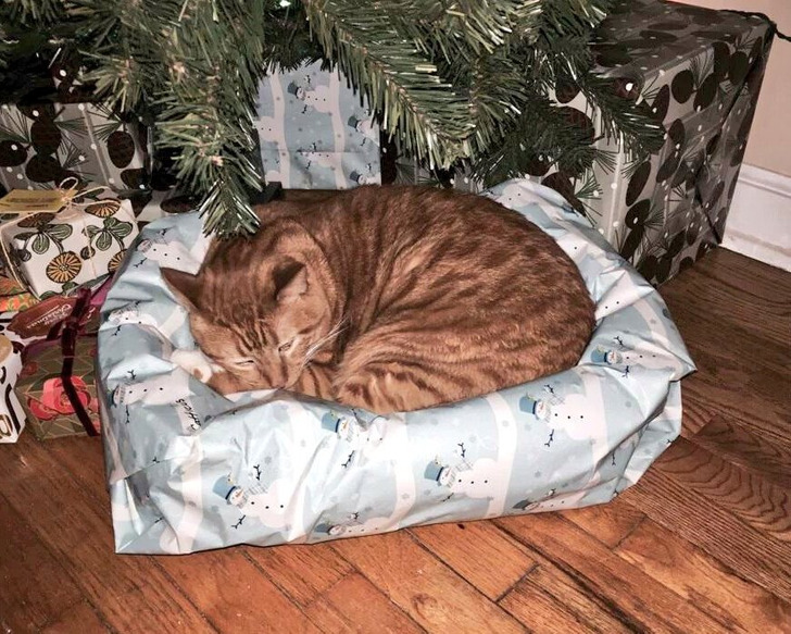 3fbb4a598f89d34a261f00b07a