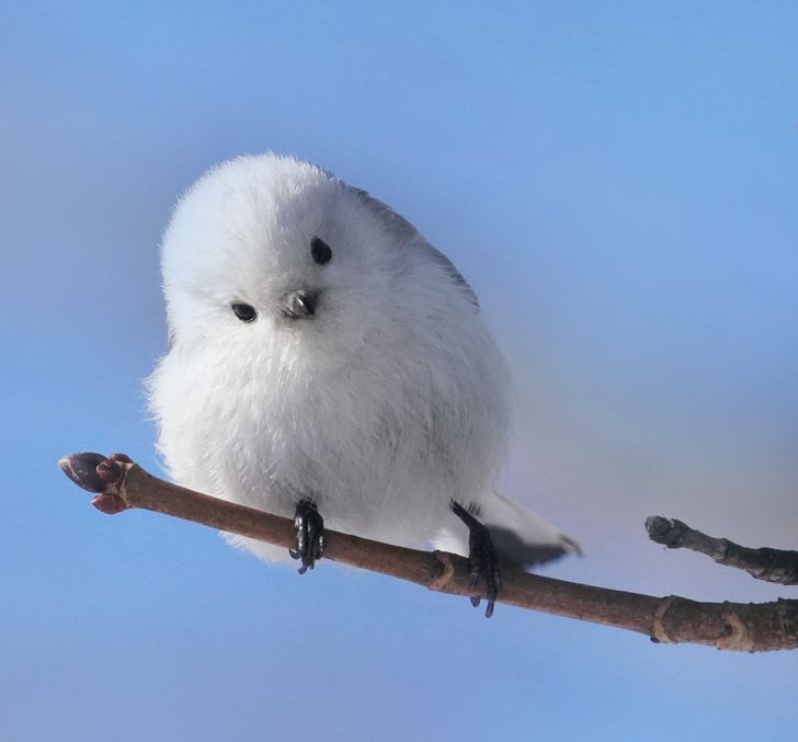 3fbe5e5b6fb3d1f6fba9906ddf