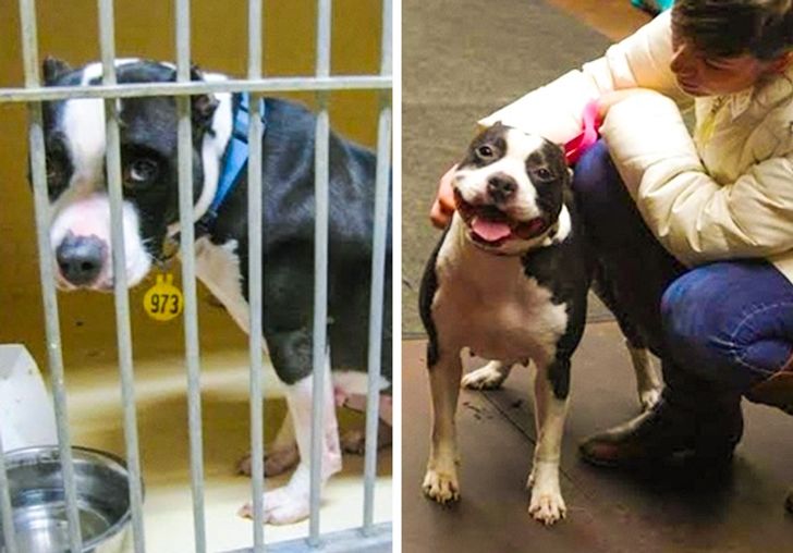 3fbeac5ec28073ba4bd95e7126