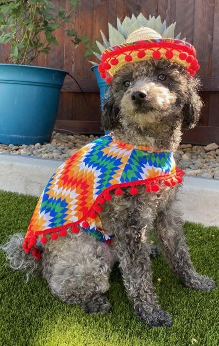 3fc00258648ca2357b8f733c53