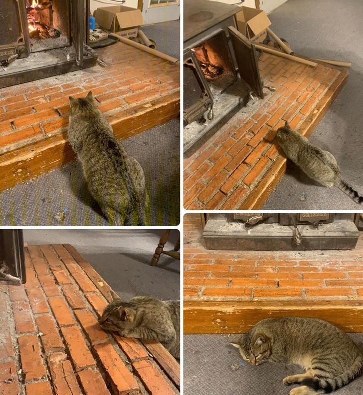 3fc156593697b44f6d55c4f718