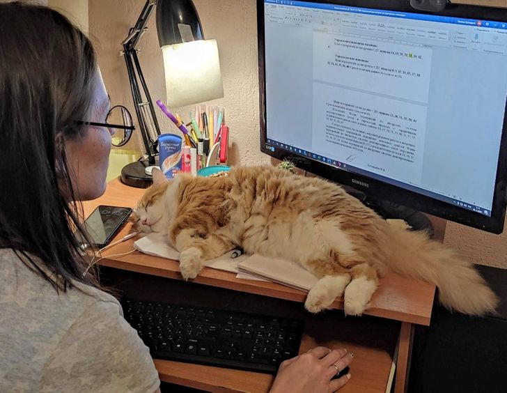 3fc66f56c4a41f14575b0a5f2e