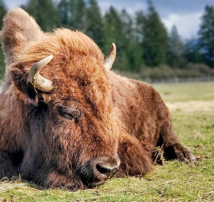 3fc7d65f5c848cfacdceaa8787