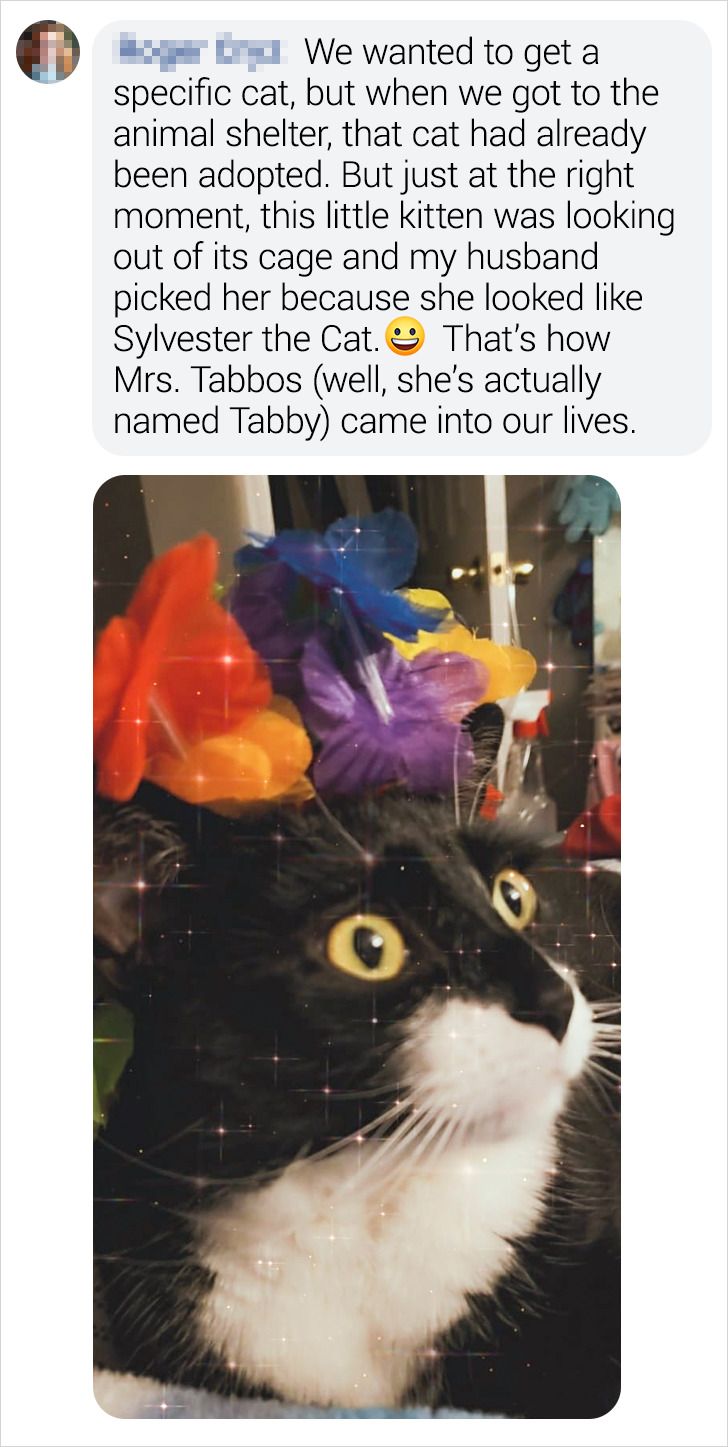 3fcf155f8bb8e2fbabb36997eb