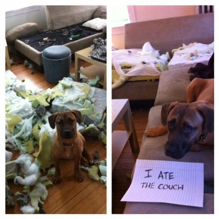 3fd37a56f89348259e10bdadd8