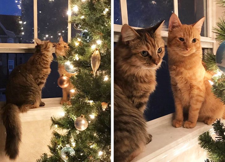 3fd57251cea60fe24948af08bb