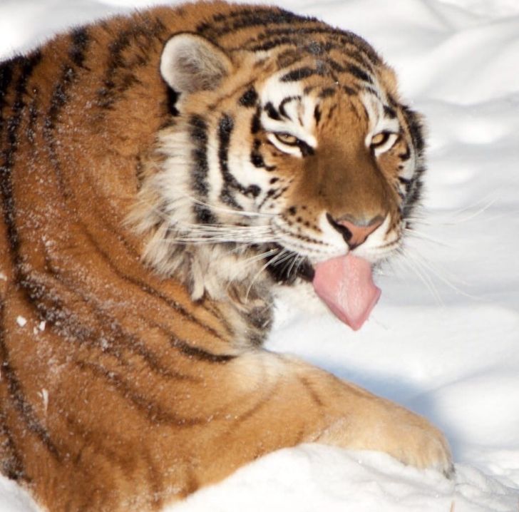 3fd59250ae95485562f822ae63