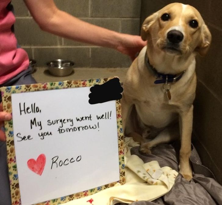 3fdb28524f9f692da7a4140e39