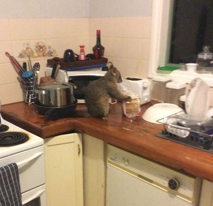 3fdc5750e1a7f7ec9037ab1f21