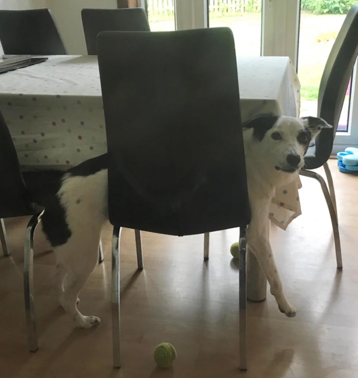 3fdcef57d3ade23c78a75b1346