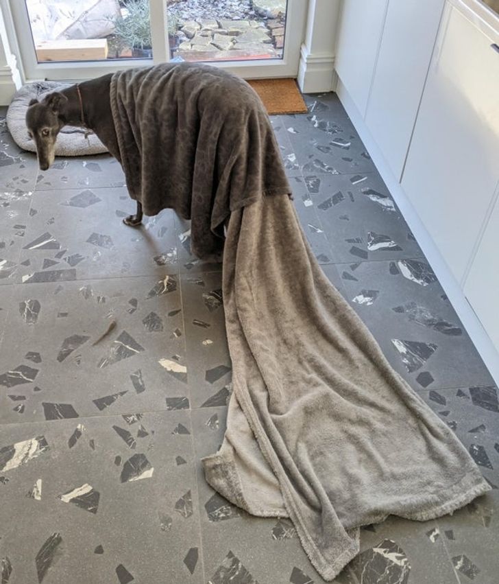 3fe01359f69dd943c2ff0a4b19