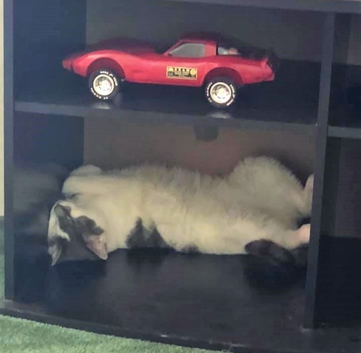 3fe3255dbb96b82aaa4eed9132