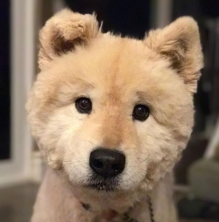 3fe7425e5d8715b9b937c73fde